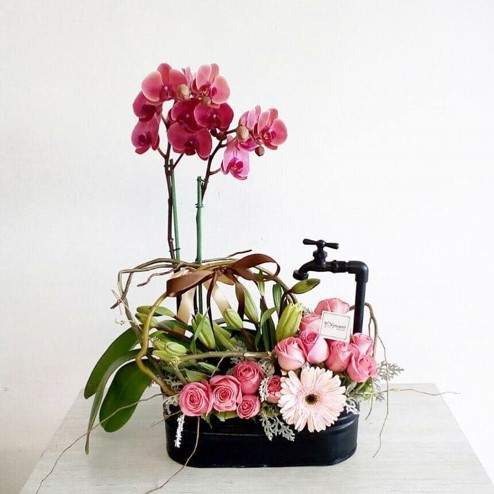 Llave y orquídea