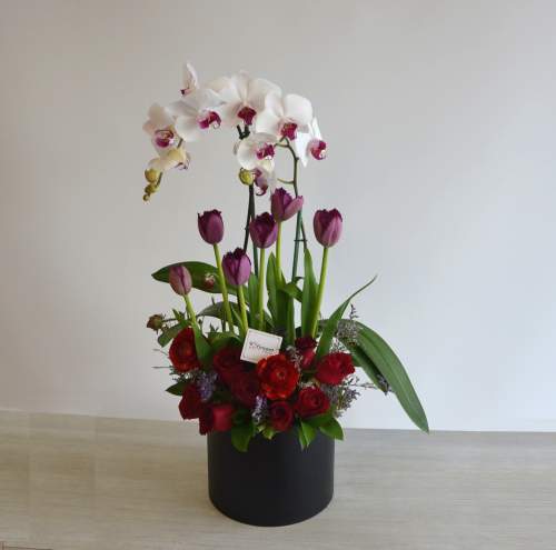Arreglo de rosas, orquídeas y tulipanes 