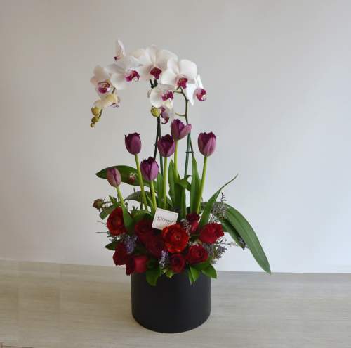 Arreglo de rosas, orquídeas y tulipanes - Catálogo